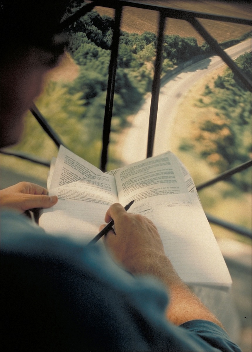 WRITING WITH TAGORE ABOVE THE FLAMINIA ©1994, JoAnn Verburg.